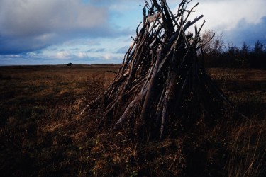 Erkki Perkiömäki - Puukasa