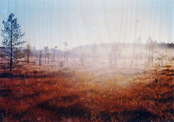 Terhi Asumaniemi - Yksityiskohta teoksesta Annan sinun nähdä tämänkin