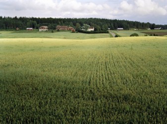 Aurajokilaakson Kulttuurimaisema