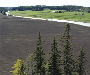 Aurajokilaakson Kulttuurimaisema pysty