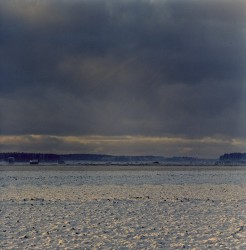 Eteläpohjalaiset Viljelylakeudet, Alahärmä