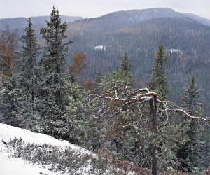 Koli, MÃ¤krÃ¤nvaara, 10/2002