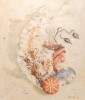Angela Oker-Blom - 
