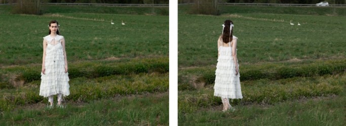 Swan, diptych, editio 1/5