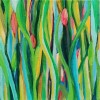 Riitta Kilpi - 