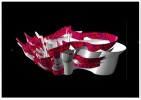 Tapani Launis - 