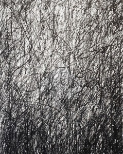 Pirjo Hassinen - Onkel Scrooge McDuck's Birthday Pirjo Hassinen - Onkel Scrooge McDuck's Birthday